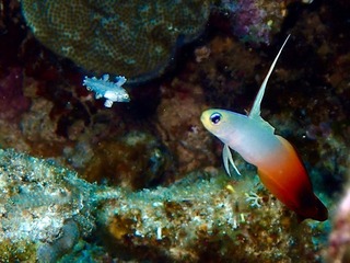 沖縄6.jpg